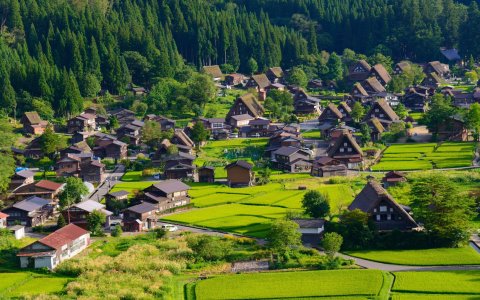 wycieczka do Japonii Shirakawago (1).jpg